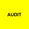 IATF 16949 Beratung Audit Fragenkataloge Self Assessments